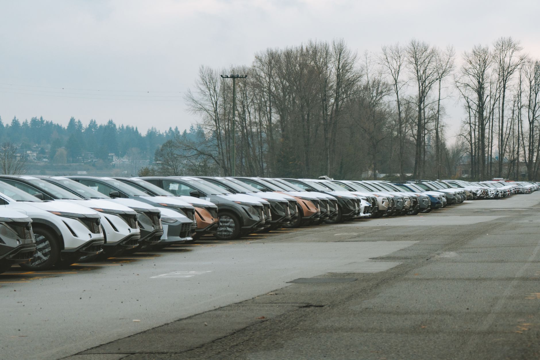 A long row of cars parked outdoors on an overcast day with trees in the background, perfect for automotive themes.