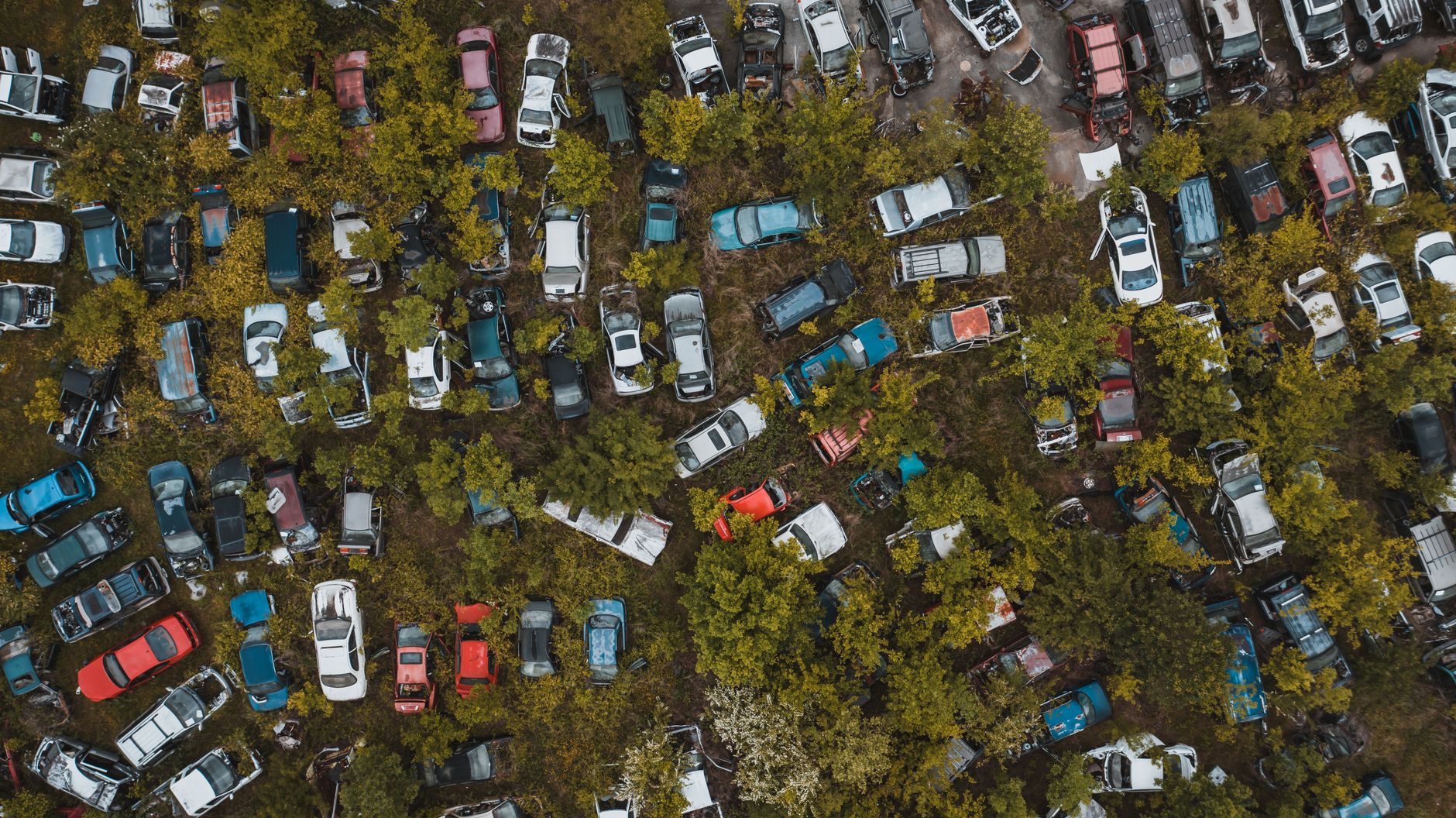 Aerial top view of numerous abandoned rusted vehicles parked in chaotic order in green automobile graveyard in suburban district