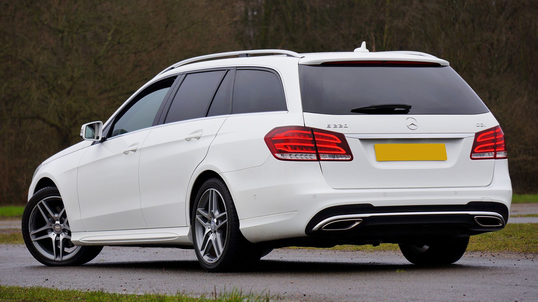 Sleek white Mercedes-Benz E220 station wagon parked along a road, showcasing modern design and elegance.
