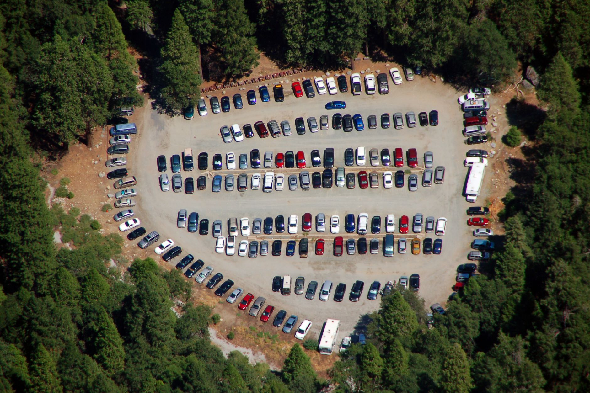 Drone shot showing an organized parking lot full of vehicles surrounded by trees.